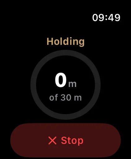 Apple Watch: holding